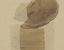 11012834_10205503760688182_7626903277445020953_n